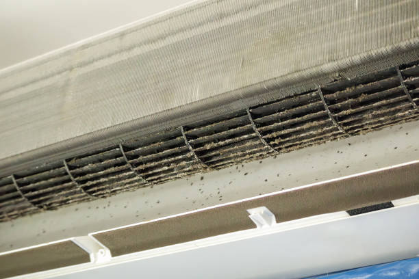 Best Affordable Duct Cleaning Services  in New Providence, NJ
